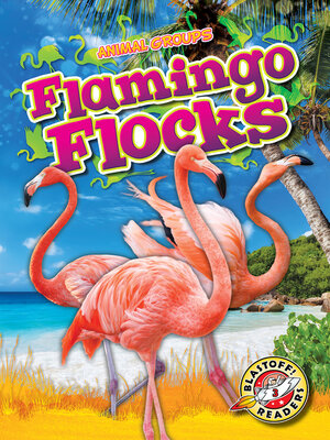 cover image of Flamingo Flocks
